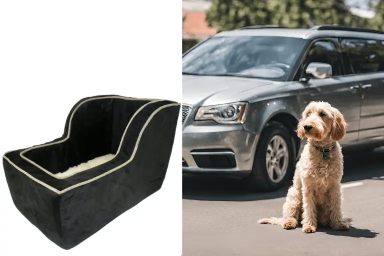 Doodle Dog Long Drives: Snoozer Lookout Car Seat - 